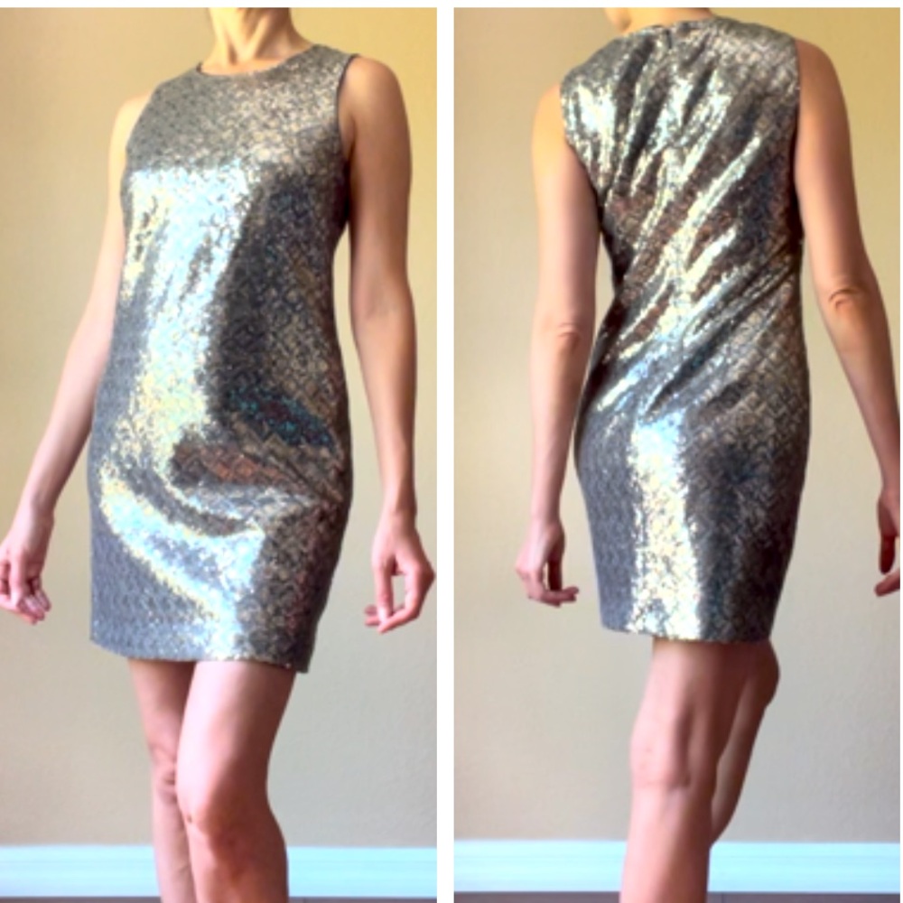 NWOT Banana Republic silver Sequined mini shift dress 2/4